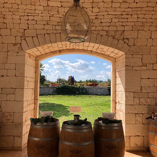 Vigneti ad alberello su terra rossa salentina, con botti di rovere in cantina